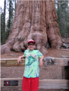 sequoia_Jacob