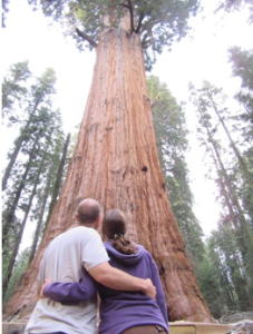 sequoia_MK looking up