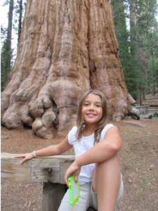 sequoia_Rachel